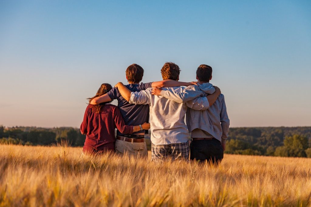 young people, group, friends, friendship, together, summer, landscape, field, outdoors, nature, youth, support, gang, teens, friendship day